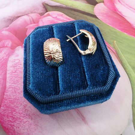 14k Gold Earrings/ Cercei Aur 14k C448